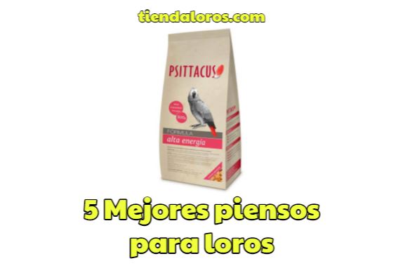 los 5 mejores piensos para loros del mercado en españa, mejores alimentos para loros