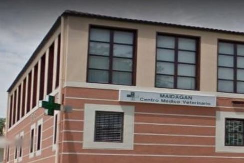 clínica veterinaria Maidagan