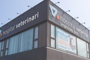 hospital veterinari santa susana