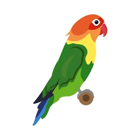dibujo de agaporni