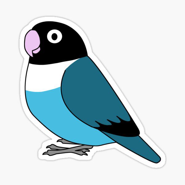 dibujo de agapornis azul