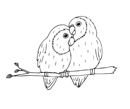 dibujo de agapornis para colorear