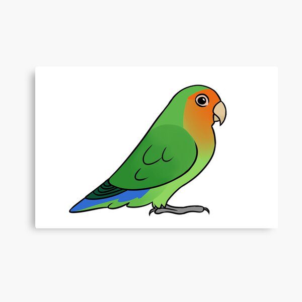 dibujos de agapornis para dibujar