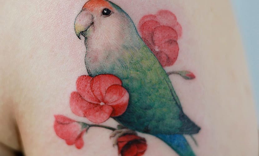 recopilacion de tatuajes de agapornis