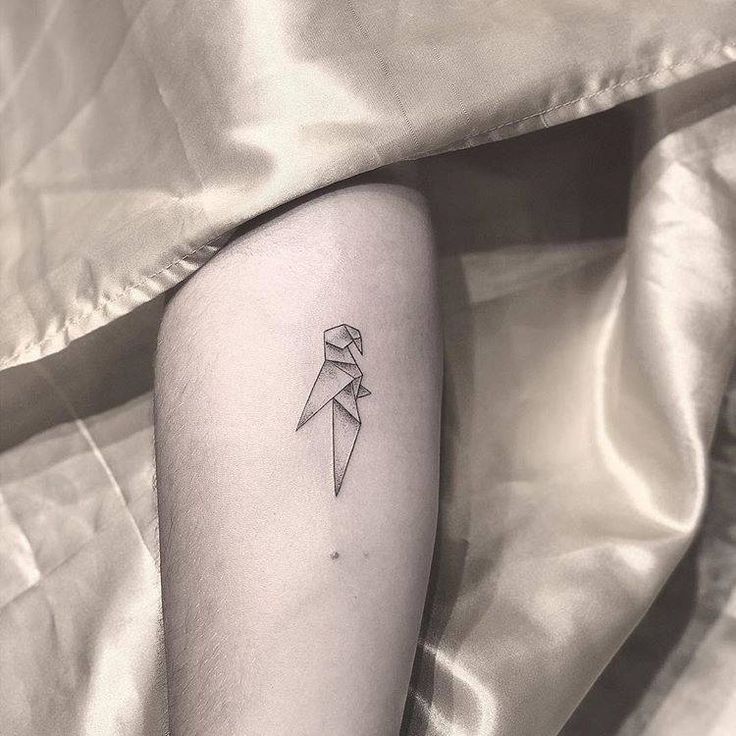 tatuaje de origami de agapornis inseparable