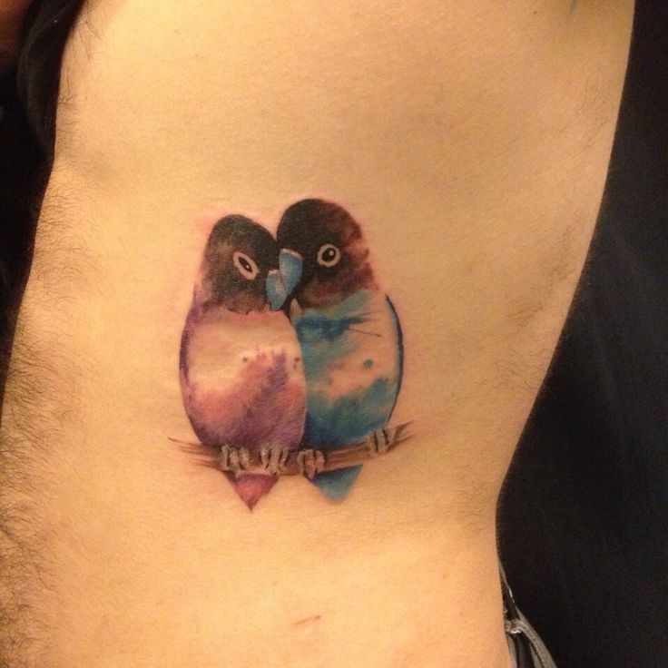 tatuaje de pajaros inseparables en el torso