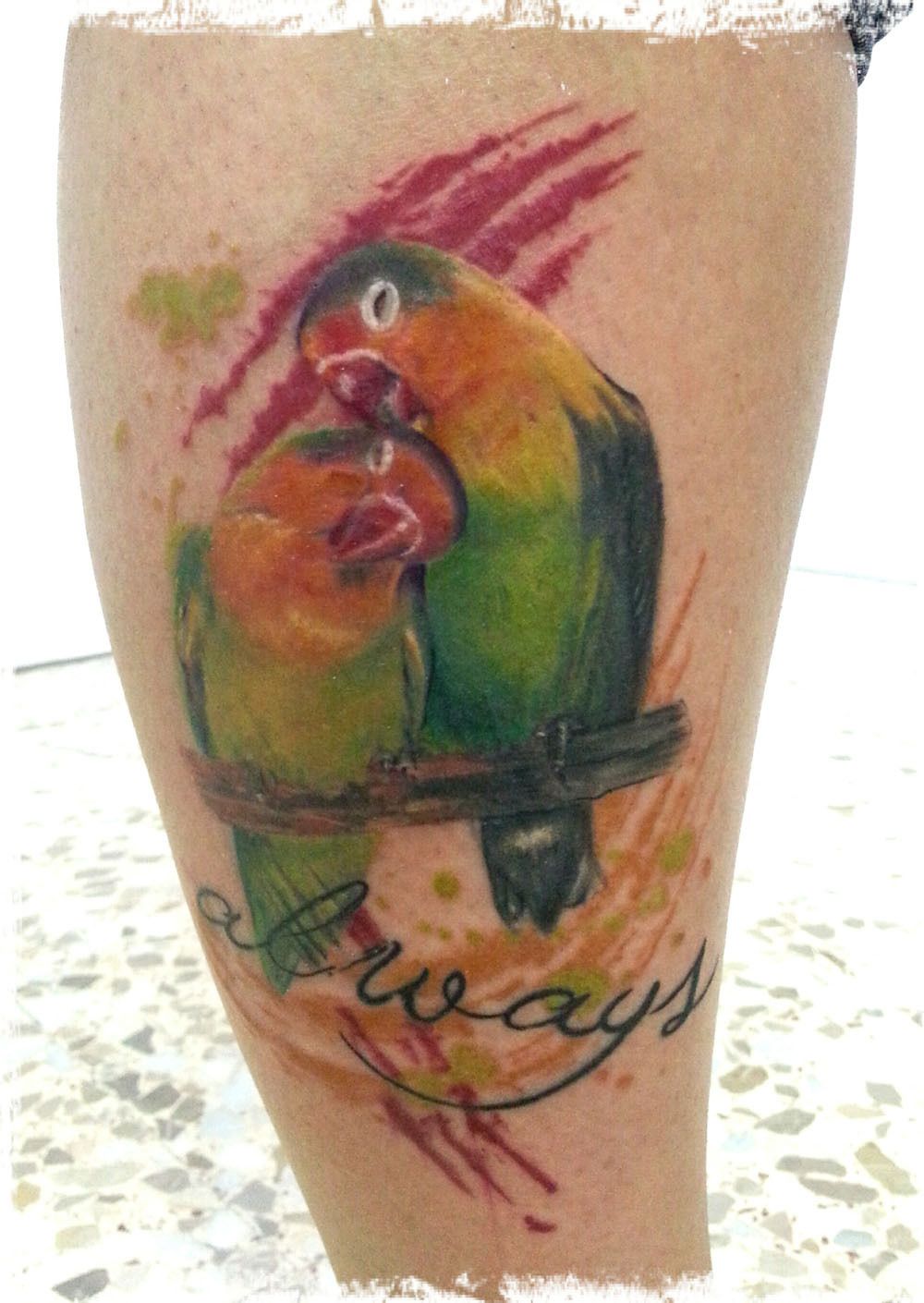 tatuajes romanticos de agapornis