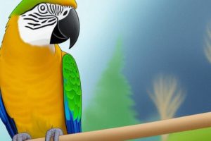 Evitar Peligros en Los Loros