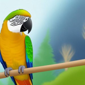 Evitar Peligros en Los Loros