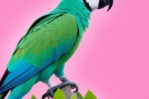 ¿Cómo darle una buena vida a un loro?