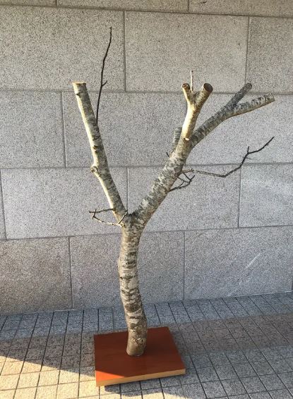 Percha, árbol, stand casero para loros